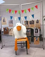 kaczka Ludwik - maskotka Kawiarenki Szkockiej