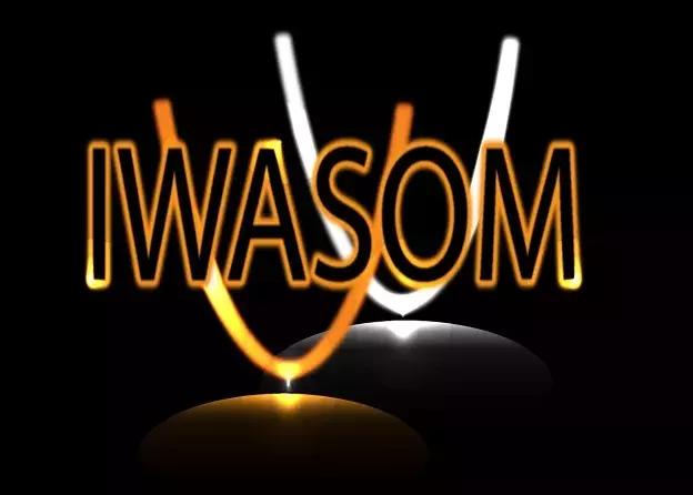 The 9th International Workshop on Advanced Spectroscopy and Optical Materials (IWASOM)